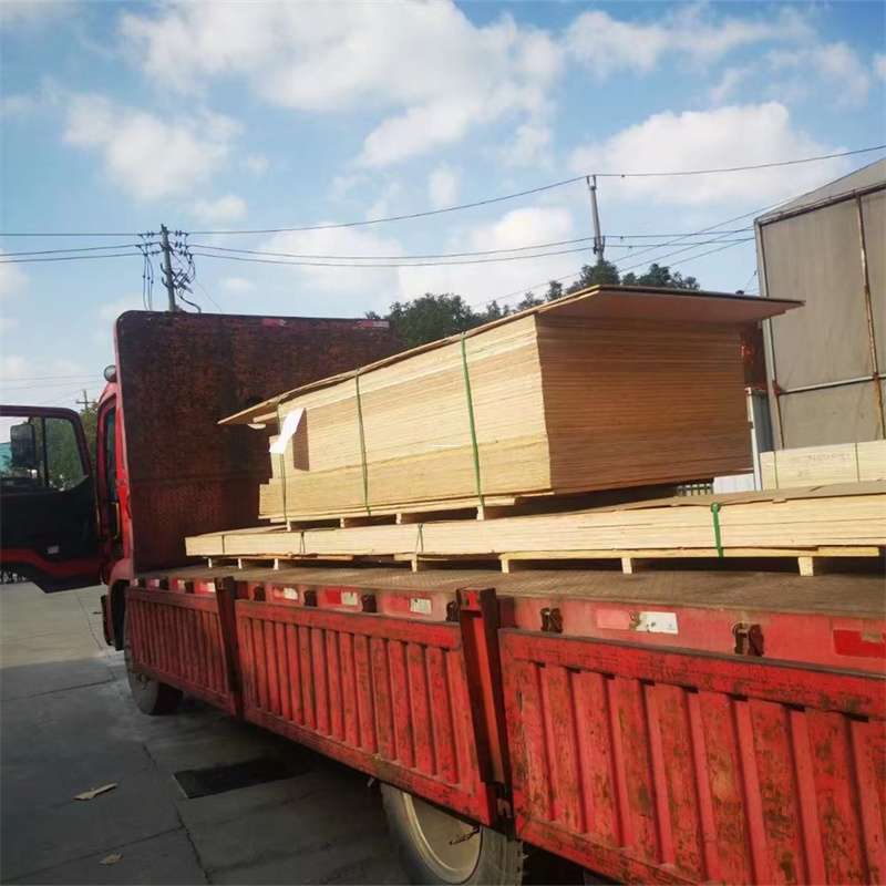 河南漯河临颍县至塔城货运专线，一站式物流服务助您成功